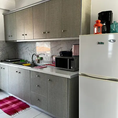 Apartment Menikos *